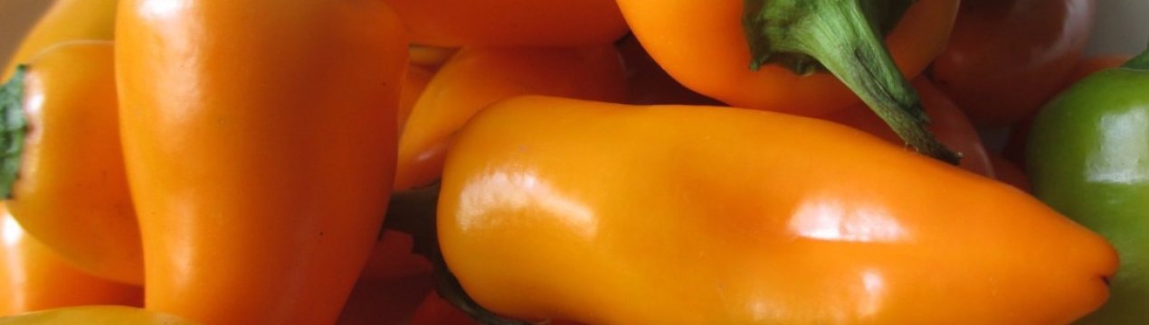 Солодкий перець Лисичка: опис, секрети успішного вирощування