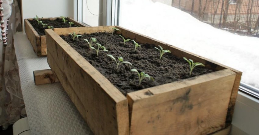 Саморобні дерев'яні і пластикові ящики Саморобні дерев'яні і пластикові ящики