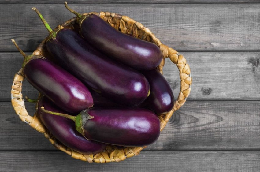 Баклажани Баклажани