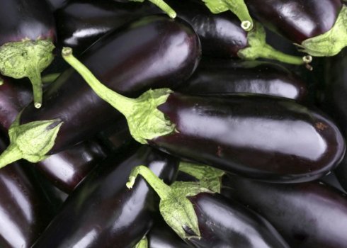 Особенности употребления баклажанов при подагре