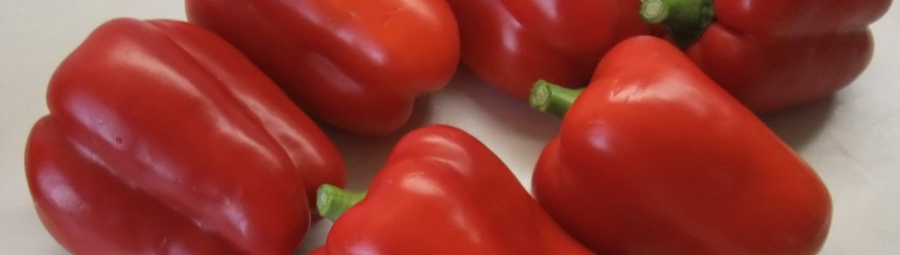 Перець Омброне: опис та характеристика