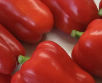 Перець Омброне: опис та характеристика