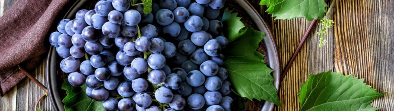 Як зробити шпалери для винограду своїми руками