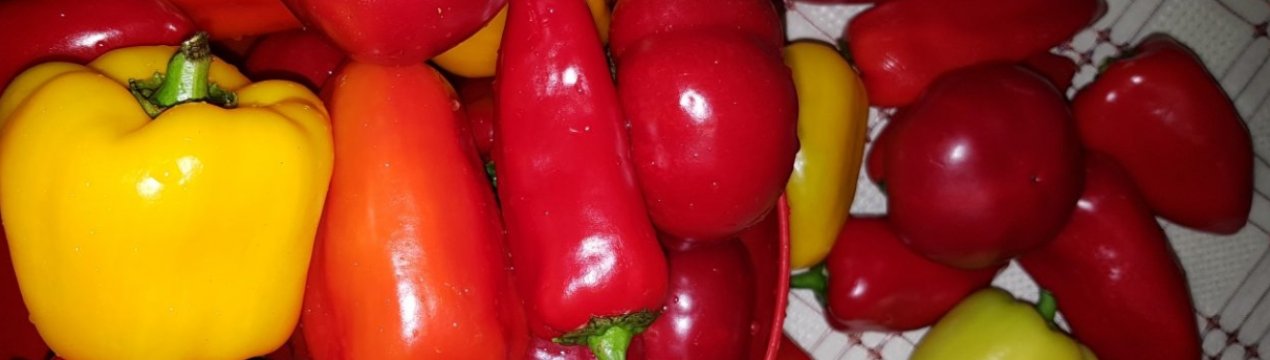 Рецепти квашеного болгарського перцю на зиму