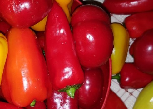 Рецепти квашеного болгарського перцю на зиму
