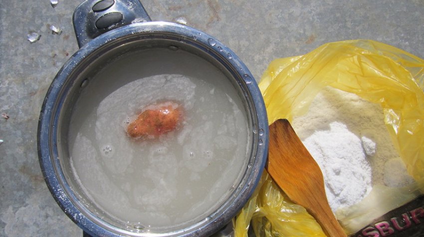 Замочування картоплі перед посадкою