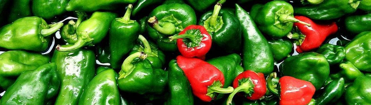 как солить таркинский перец рецепт. Смотреть фото как солить таркинский перец рецепт. Смотреть картинку как солить таркинский перец рецепт. Картинка про как солить таркинский перец рецепт. Фото как солить таркинский перец рецепт