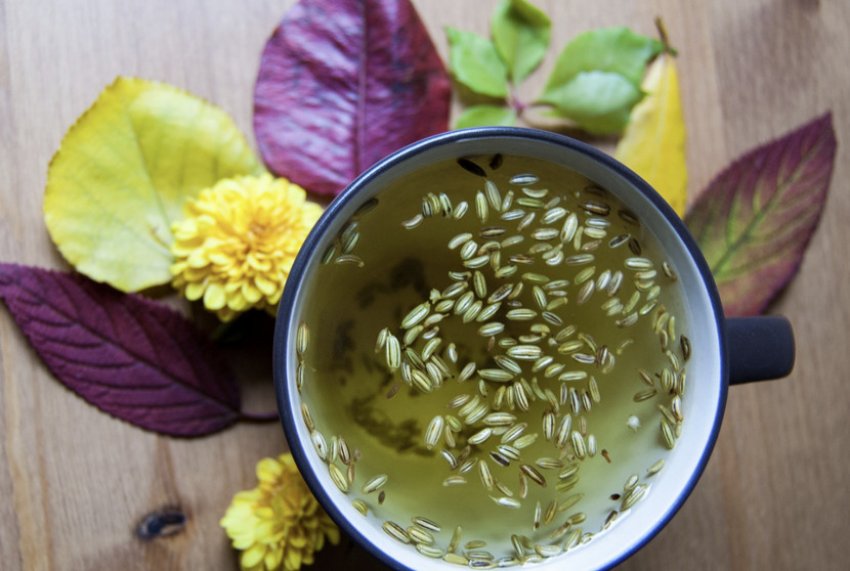 Настій кропу Настій кропу