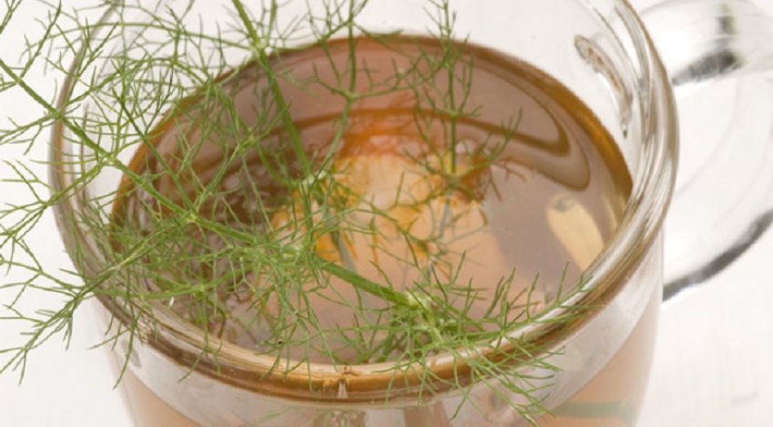 Кропова настоянка