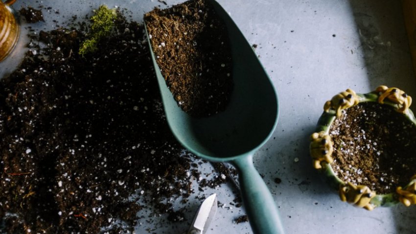 Підживлення