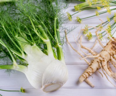 Чим відрізняється фенхель від кропу?