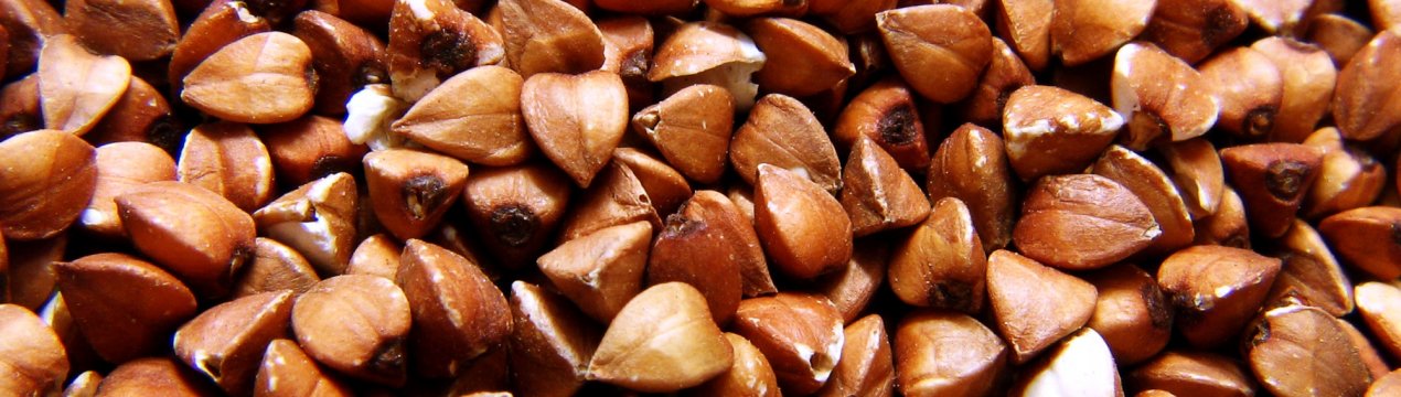 Російська гречка наводить жах на литовських фермерів