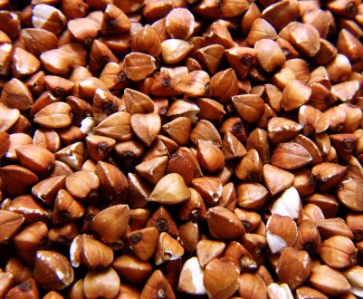 Російська гречка наводить жах на литовських фермерів