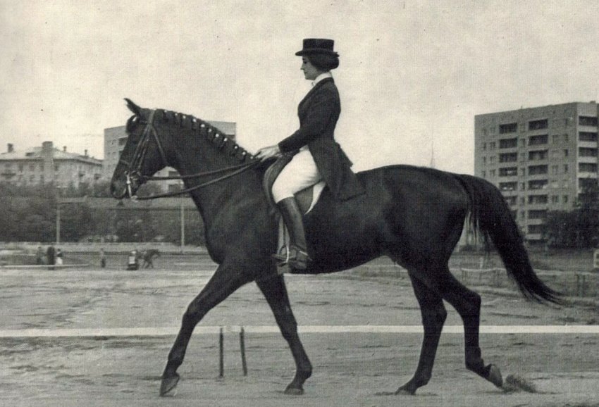 Російський кінь Попіл з Оленою Пєтушковою