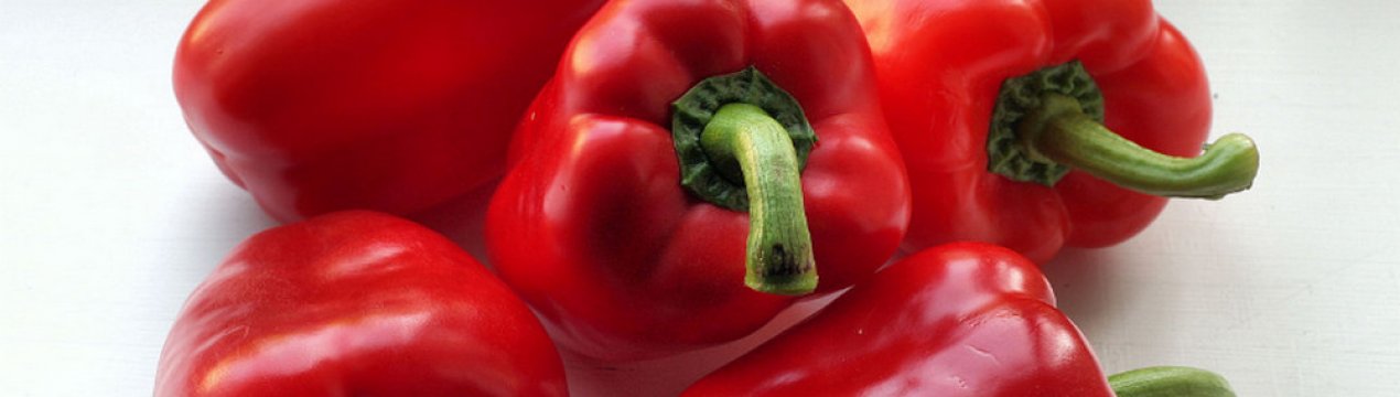 Перець Геракл: особливості вирощування та догляду за сортом