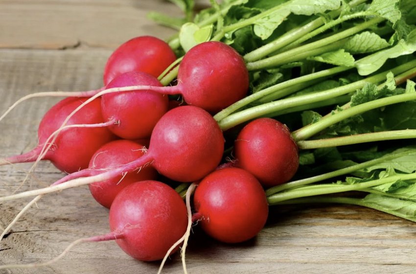 Ультраранній червоний