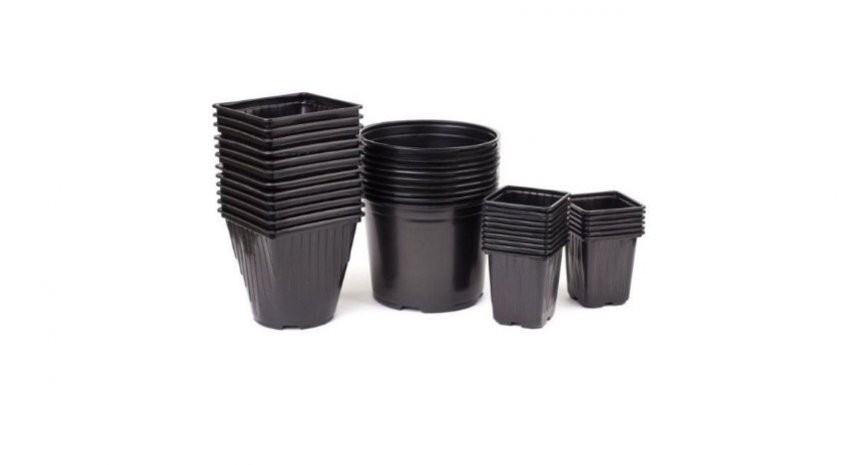 Ємність для розсади Ємність для розсади