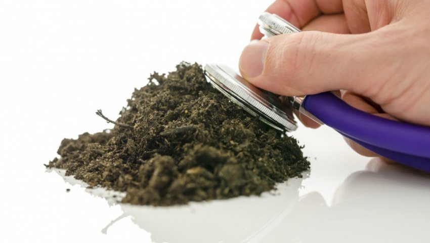 Грунт для розсади Грунт для розсади