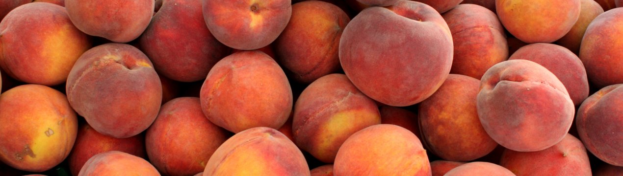 Ріг достатку: в Україні запрацює «персиковий конвеєр»