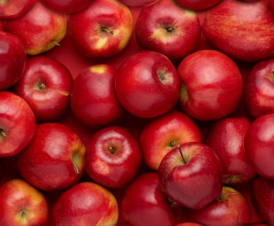 Українські «ідеальні яблука» чекають кращих часів у кріокамерах