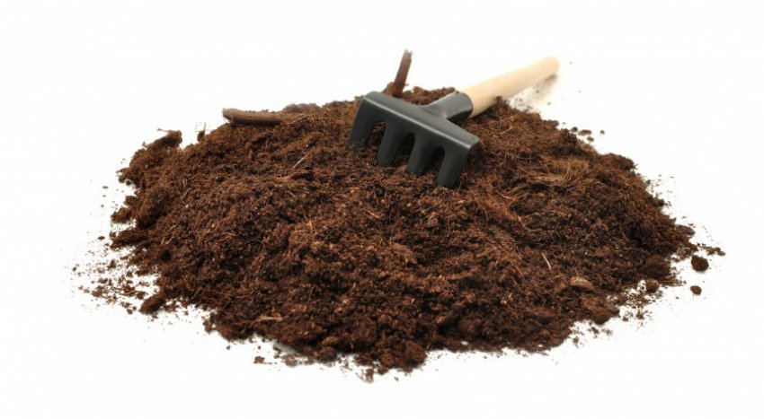 Грунт для розсади