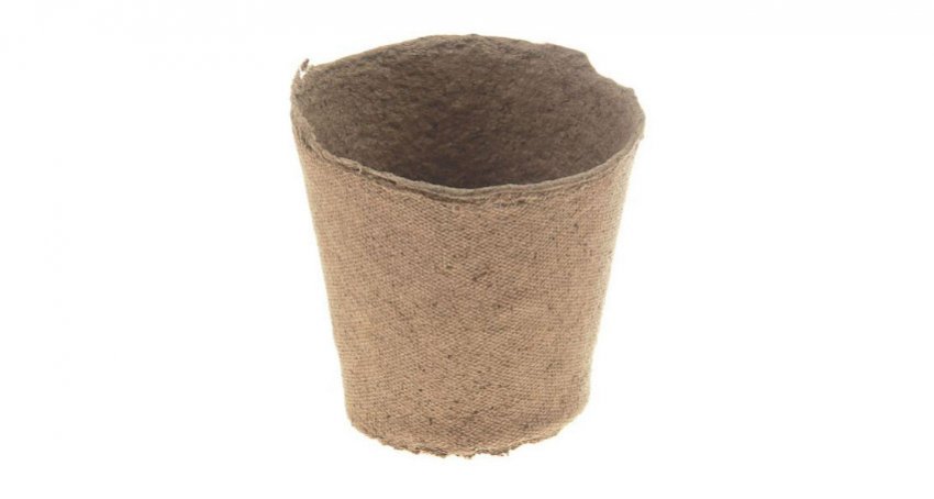Торф'яної горщик для розсади