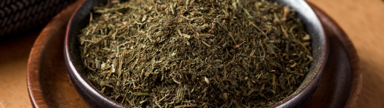 Сушка кропу в домашніх умовах на зиму