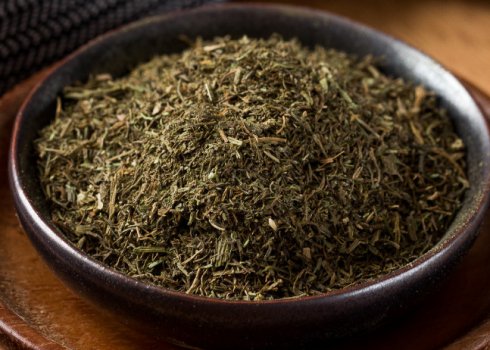 Сушка кропу в домашніх умовах на зиму