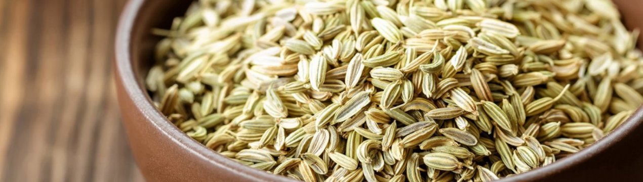 Особливості застосування насіння кропу для очей