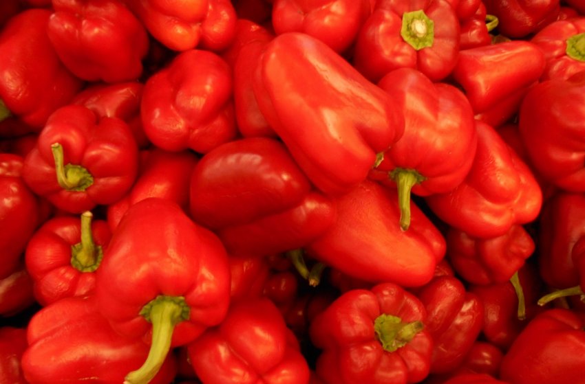 Оленька Оленька