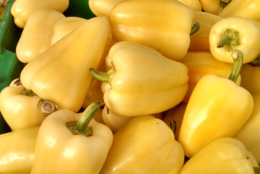 Олівія Олівія