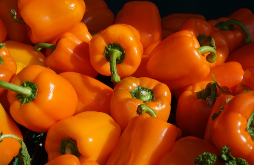 Зоржа Зоржа