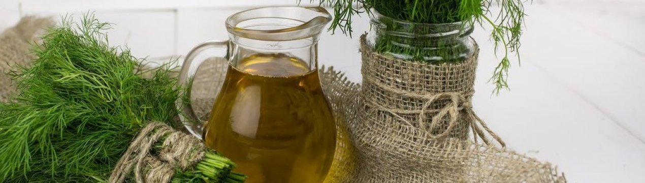 Застосування і користь настоянки кропу