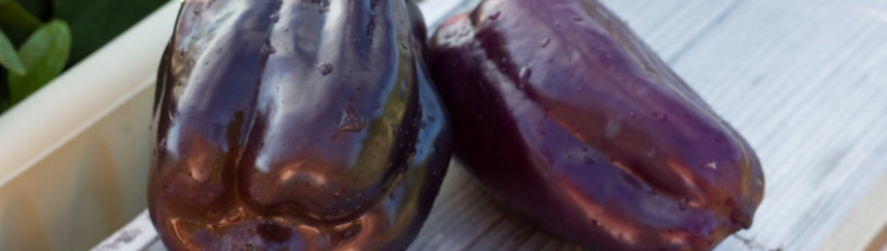 Чому перці стали фіолетовими: причини та методи боротьби