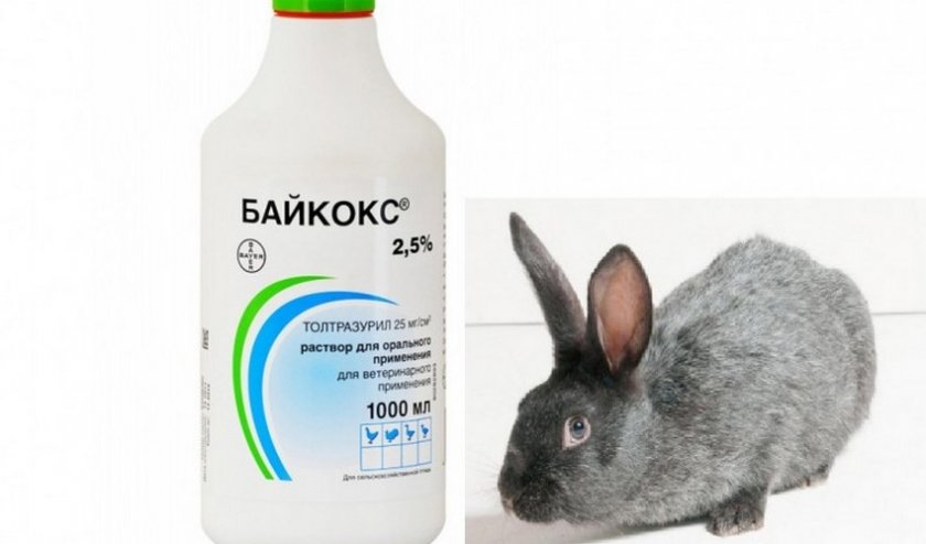 Для чего применяется байкокс для кроликов?