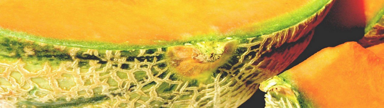 Як правильно заморозити диню на зиму в домашніх умовах