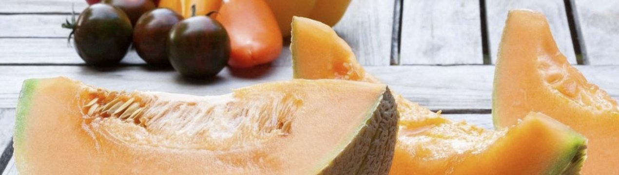 Чи можна вагітним їсти диню?