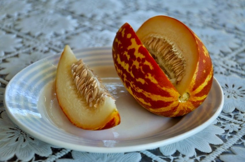 Збір урожаю