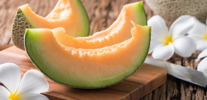 Користь і шкода дині Користь і шкода дині