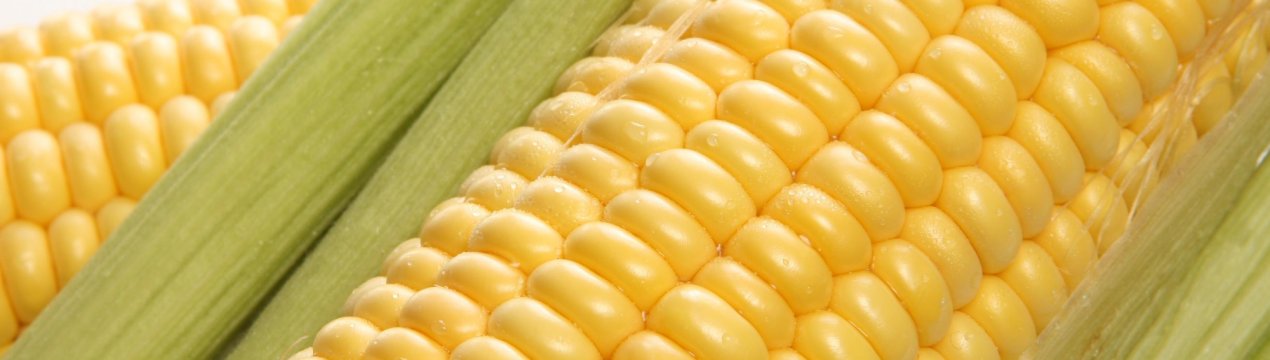 Китай не виправдав надій американських фермерів