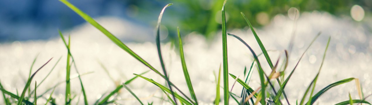 Прогноз погоди в кінці листопада радує російських фермерів