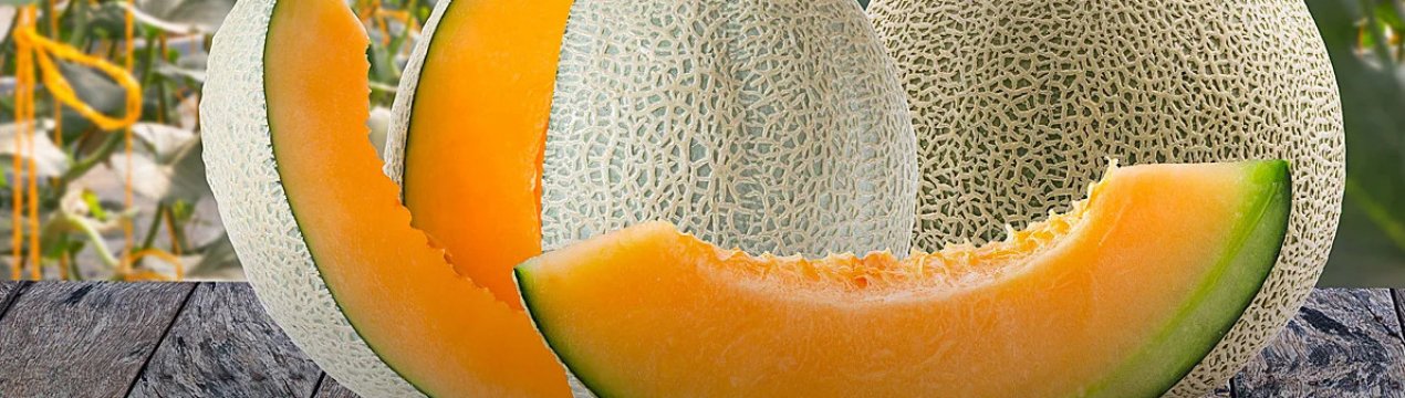 Диня пахне ацетоном чому: чи можна вживати