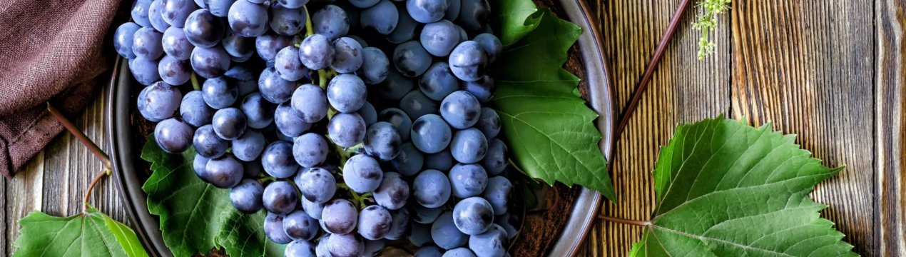 Тернопільський фермер вирощує гігантський виноград
