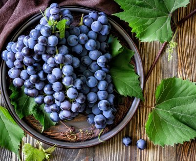 Тернопільський фермер вирощує гігантський виноград