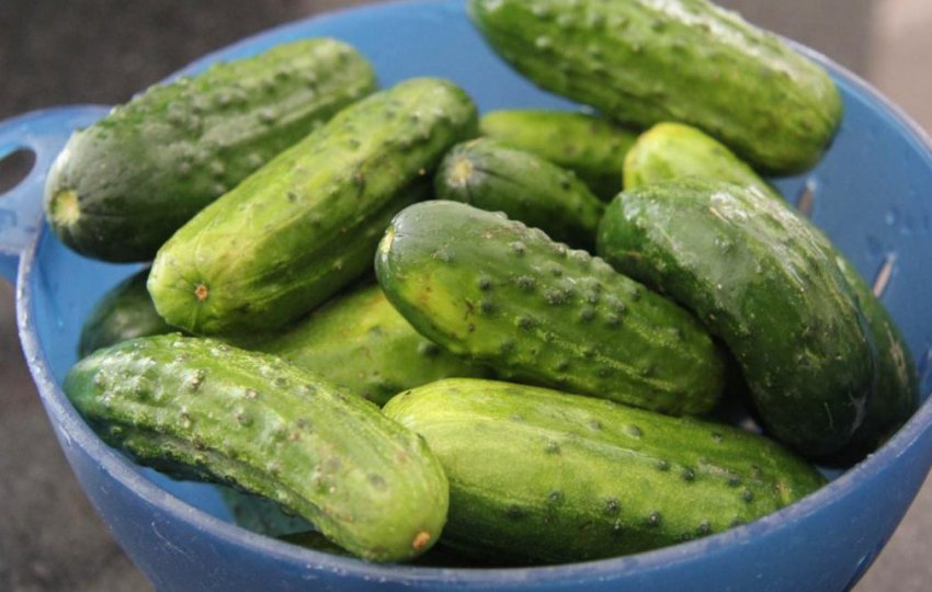 Огірки Огірки