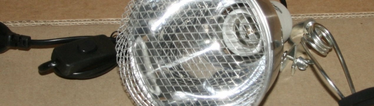 Інфрачервоні лампи як вибрати і встановити в курнику