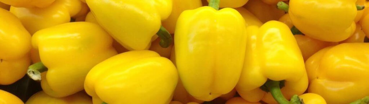 Перець Джеміні: опис, агротехніка вирощування