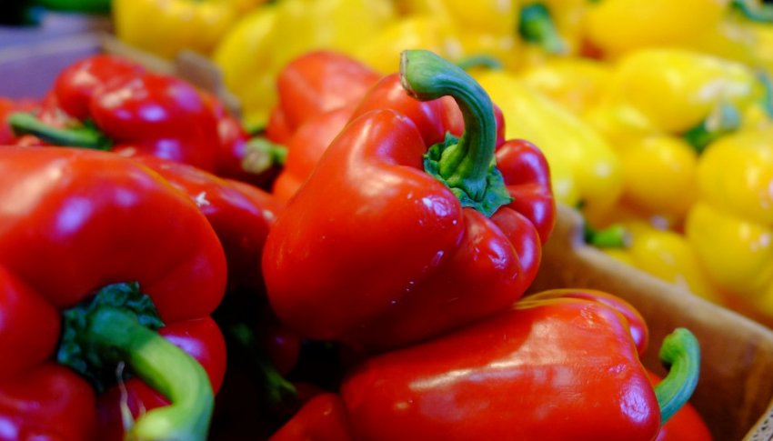 Солодкий перець Солодкий перець