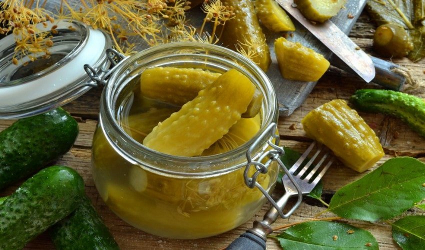 огурцы дольками на зиму самый вкусный рецепт на зиму с куркумой. 31511.pinfko.850. огурцы дольками на зиму самый вкусный рецепт на зиму с куркумой фото. огурцы дольками на зиму самый вкусный рецепт на зиму с куркумой-31511.pinfko.850. картинка огурцы дольками на зиму самый вкусный рецепт на зиму с куркумой. картинка 31511.pinfko.850. В чистые и сухие банки поместить по 2 веточки укропа, кусочку острого свежего перца и 2-3 зубчика чеснока.