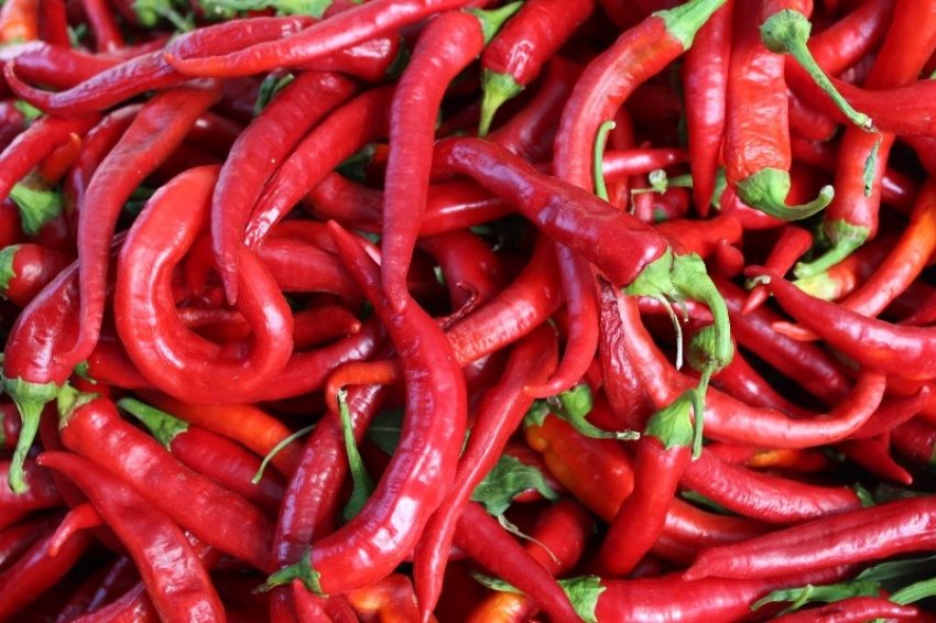 Як вибрати і підготувати продукт для приготування Як вибрати і підготувати продукт для приготування